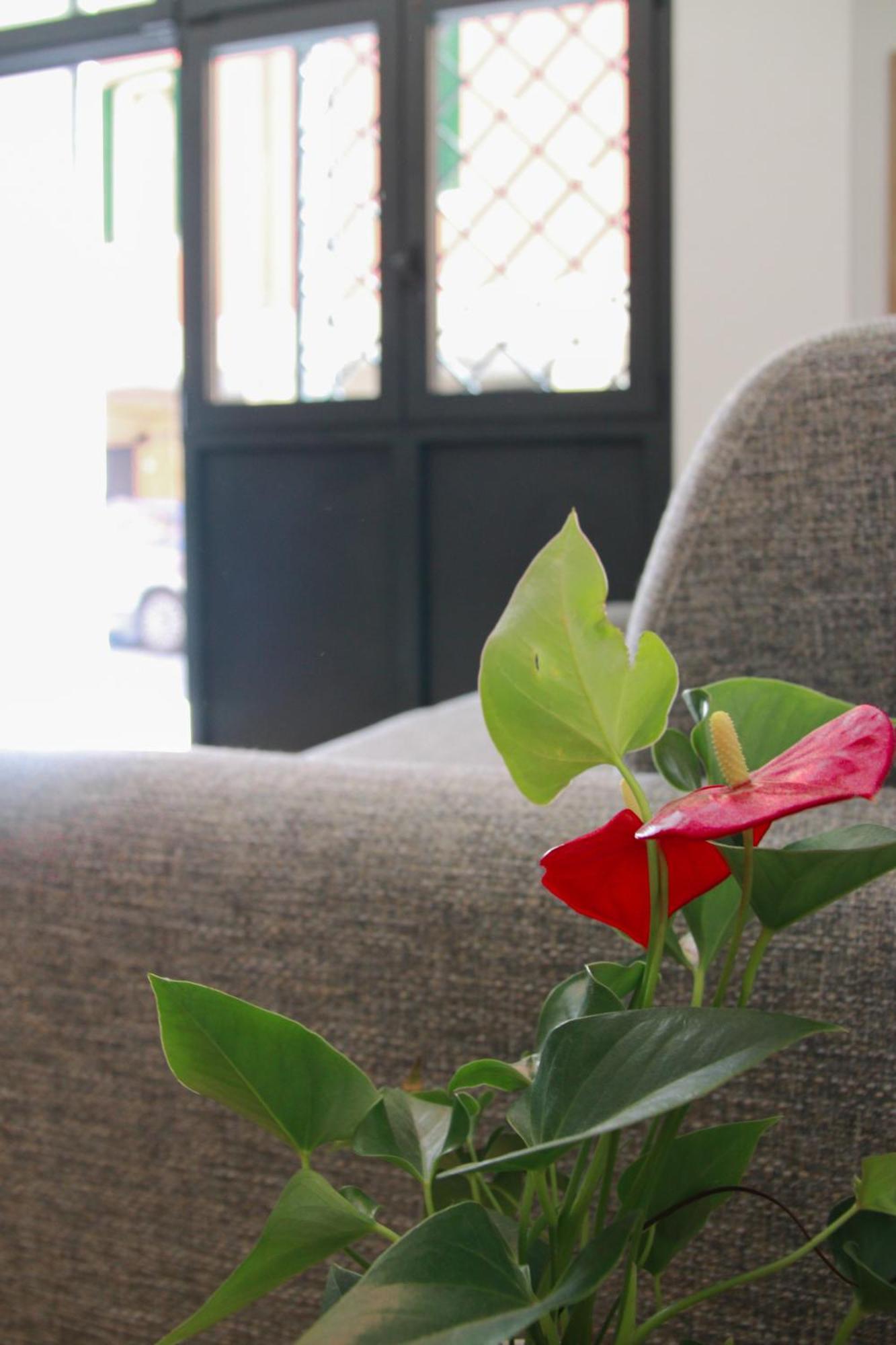 U Zone Apartment Bologna Buitenkant foto
